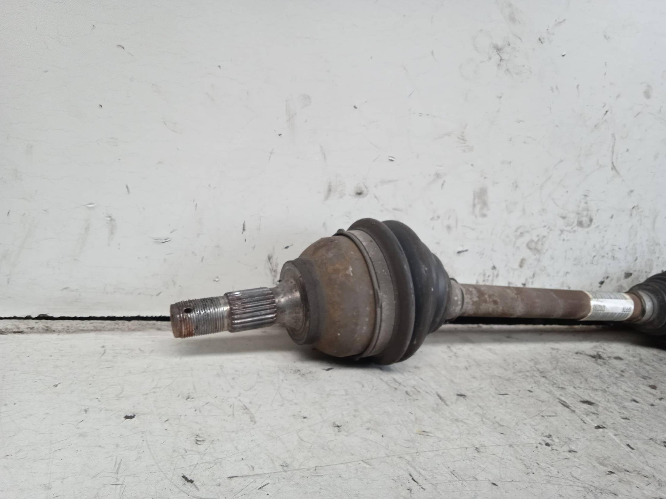 Semialbero ant. compl. dx.